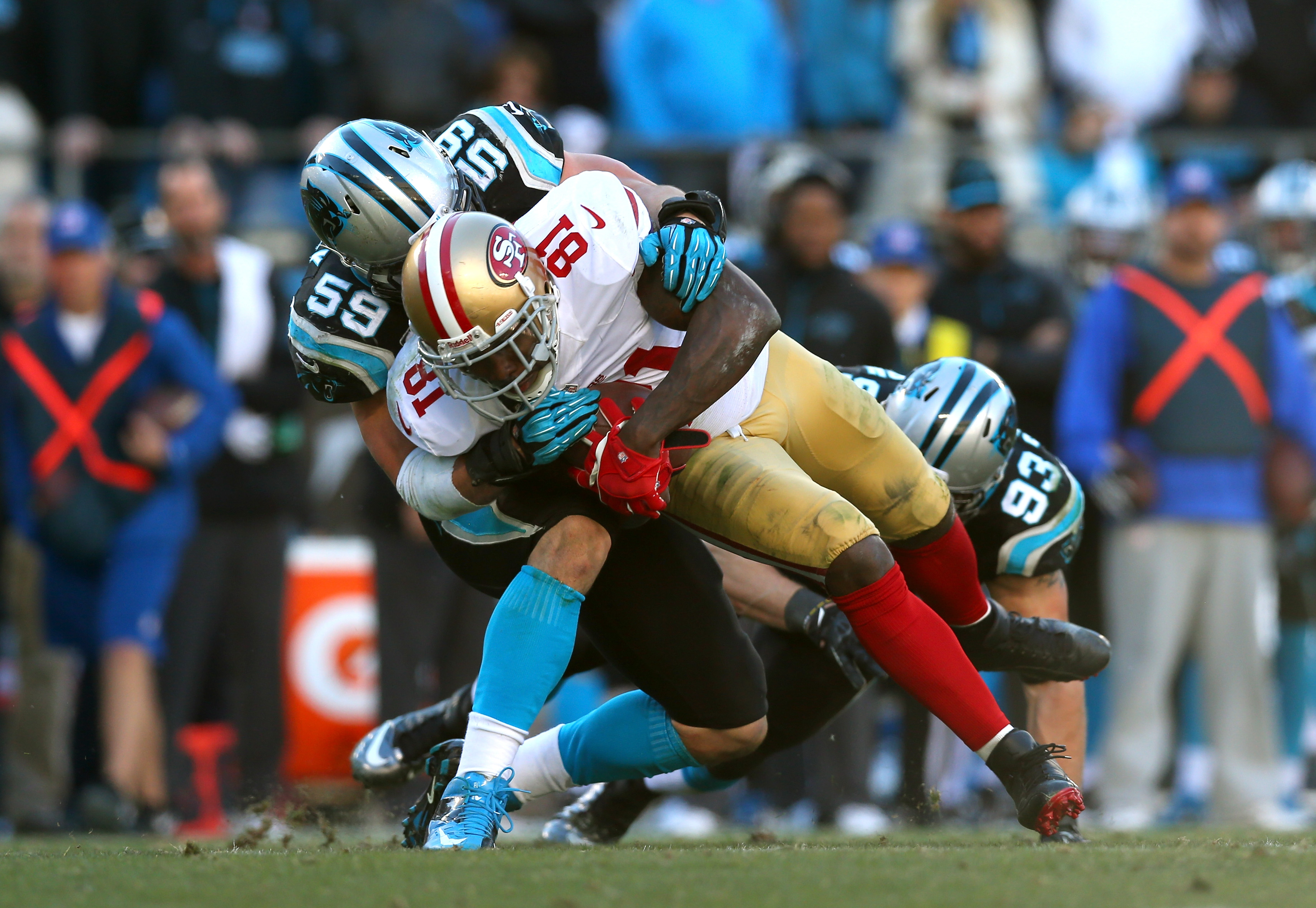 carolina panthers, san francisco 49ers