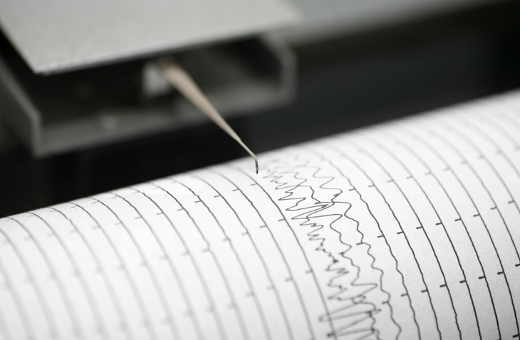 Seismometer printing details