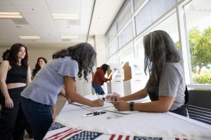 Voting