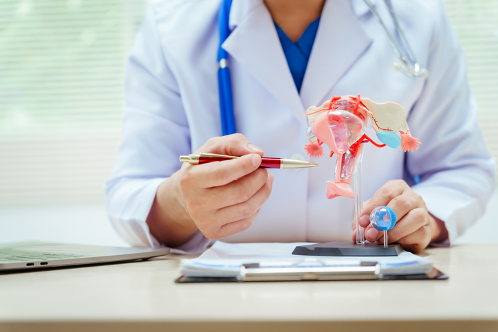 A male doctor wearing glasses sits at a desk in a hospital, discussing a uterus model and womenâs health issues like uterine tumors, endometriosis, cervical cancer, and ovarian cancer